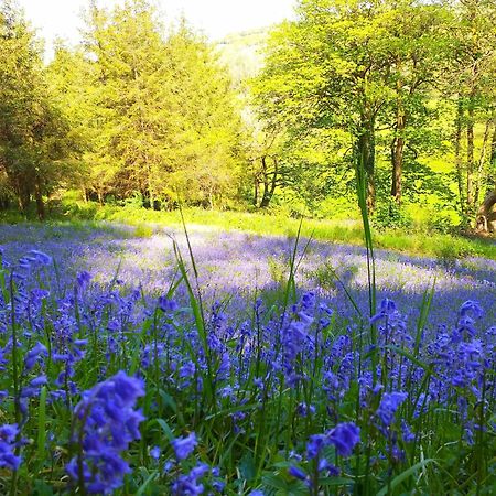Lobhill Farmhouse Bed And Breakfast And Self Catering Accommodation Okehampton Luaran gambar