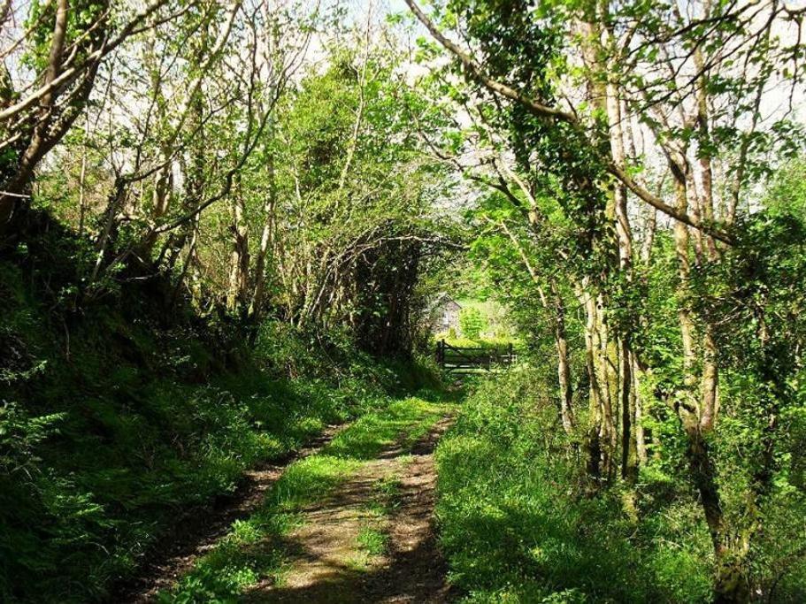 Lobhill Farmhouse Bed And Breakfast And Self Catering Accommodation Okehampton Bilik gambar