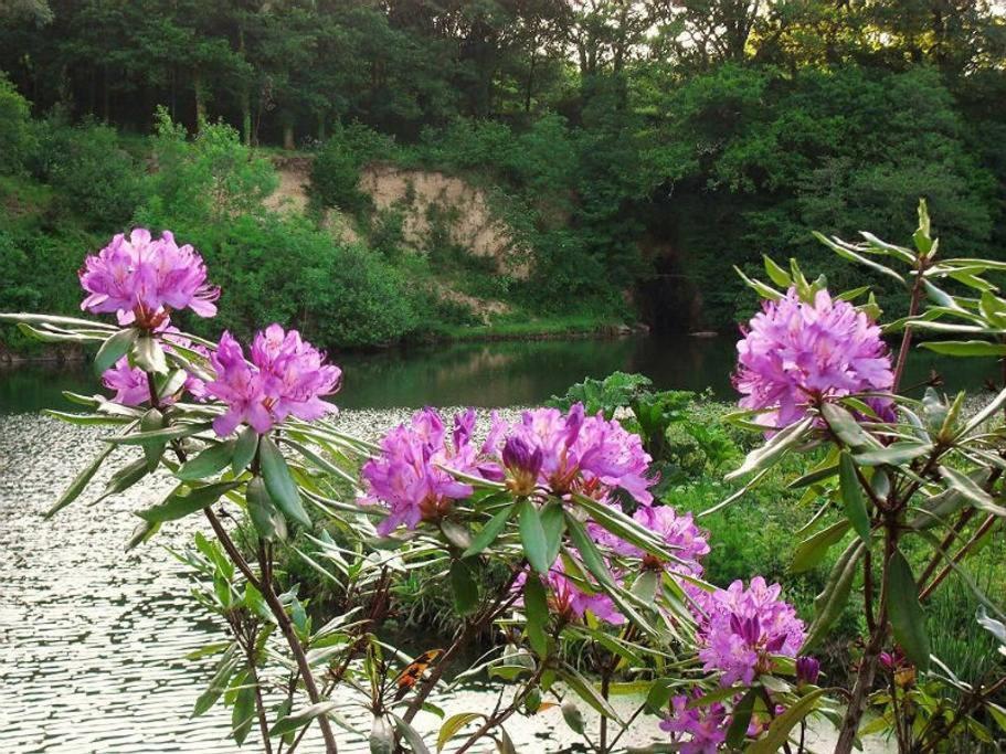 Lobhill Farmhouse Bed And Breakfast And Self Catering Accommodation Okehampton Bilik gambar
