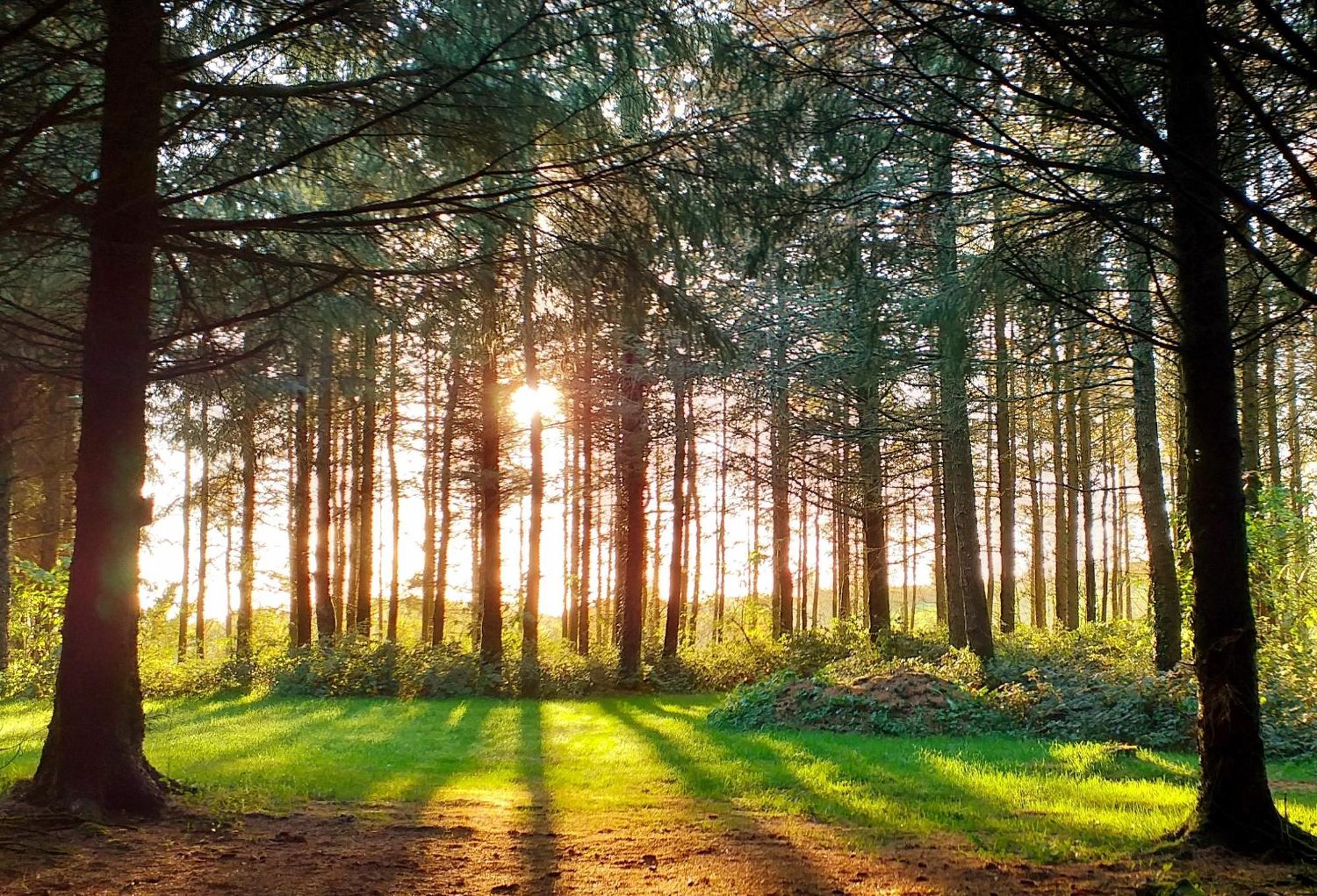 Lobhill Farmhouse Bed And Breakfast And Self Catering Accommodation Okehampton Luaran gambar